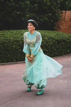Adults Princess Jasmine Costume For Women Jasmine Outfit From Aladdin