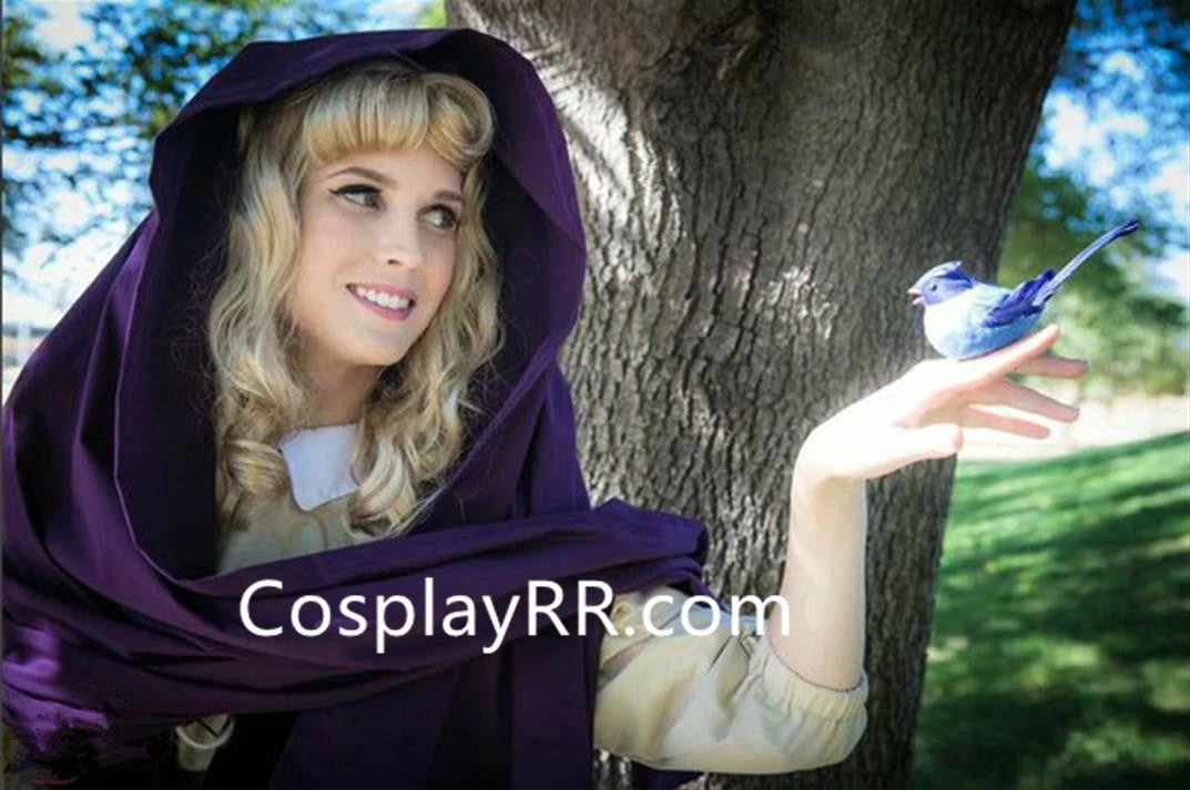 Sleeping Beauty Briar Rose Dress Peasant Costume - Image 3