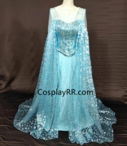 Elegant Elsa Dress Snow Queen Elsa Costume Adult