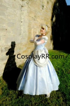 Princess Store -EpicCosplay Shop New Cinderella dress for sale adult costume 3