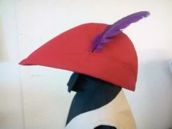 Prince Phillip CAPE And HAT ONLY -EpicCosplay Shop PrincePhillip 2