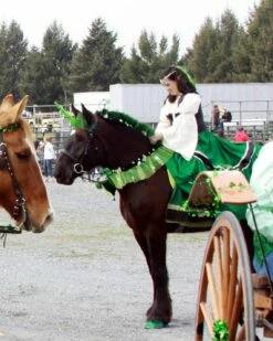 Renaissance Gypsy Dress Pirate Gown Wench Womens Costume -EpicCosplay Shop Renaissance Gypsy Dress Pirate Gown Wench Womens Costume 3