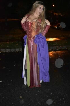 Sarah Sanderson Costume - 18th Century Sarah Sanderson Dress Hocus Pocus Costume -EpicCosplay Shop SarahSandersonCostume2