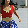 Wonder Woman Adult Costume Super Hero Costume
